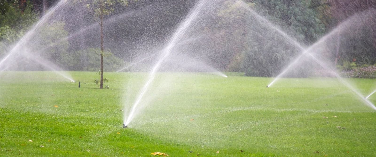 Sprinkler heads running across a lawn